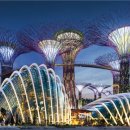 2026년3월19일(목)~23일(일) 베트남 나트랑,달랏3박5일 해왜여행 트레킹 출발합니다 이미지