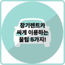 장기렌트카 이미지