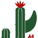 선인장서프 네이버블로그