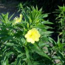 달맞이농장 이미지