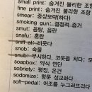 [공지] 2025 일문편입 합격후기_성균관대 포함 6관왕 | 일반문과 편입수기✨