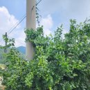 금산농약사 이미지