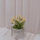 한솔플러스 영어수학학원 이미지