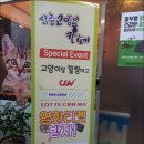 삼층고양이 카페 네이버블로그