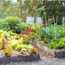 이장농장 이미지