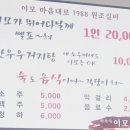 하복대이모
