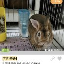 조재진동물병원 이미지