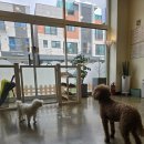 그루멍 프렌즈 이미지