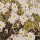 외할머니의 부엌 이미지