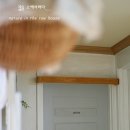 그레이문