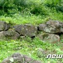 유포석보 이미지