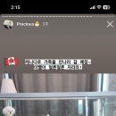퍼피블러썸 이미지