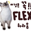 별내닭꼬치 이미지