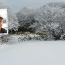 시원세상 이미지