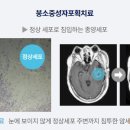 다원솔루션 이미지