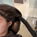 [독일 로하스모 판교센터] 탈모예방 두피관리 후기 : 판교에스텍티