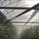 삼창농장 이미지