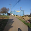 금당엄나무마을 이미지