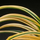 황호농장 이미지