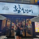 황골뱅이진평점 이미지
