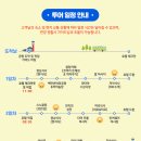 백만정비 | 태국 방콕 여행 파타야 패키지 투어 후기 산호섬 꼬란섬 가볼만한곳