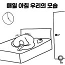 김태민발효쌀빵