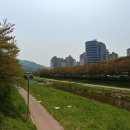 서울 서초구 양재동 서초문화예술공원 산책로 주변 아파트 이미지