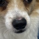 남양주동물병원 이미지