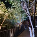 별꽃숲민박 이미지