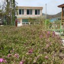 석란정펜션 이미지