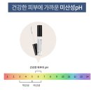 어니스트 빈(Honest Bean) | 눈 시림 없는 속눈썹 영양제 추천벤튼 어니스트 아이래쉬 세럼 성분 분석 리뷰