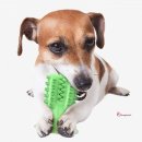 초록애견샵 이미지