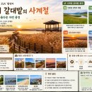 신성리갈대밭습지생태길 | 🌾 영화 '공동경비구역 JSA' 촬영지, 신성리 갈대밭의 사계절