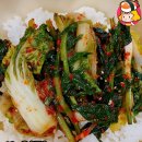 주식회사 호두랩스 이미지