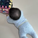 햇빛어린이집 | [2024-10] 아프리콧 스튜디오 실내복 후기/ 보나츠 후기/ 서울대공원/ 국립현대미술관 과천/ 샤넬 코코...