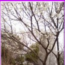 금강목욕탕 이미지