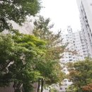 화도읍푸른솔아파트