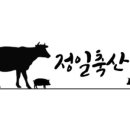 정일한우