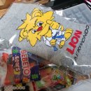 우석대 라이온 태권도 이미지