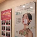 달리아에스테틱(부산서면점)