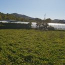 인삼공인중개사사무소 이미지