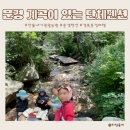 문경관광농원 | 문경펜션 계곡이 있는 찬물내기관광농원 단체펜션