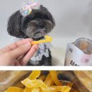 신선 - 광주시 천진암로 768 | 강아지 간식 뭐 줄지 매번 고민이신가요? 펫어스 신선하구마 후기