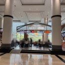 구슬당구장 | [공지] 아이랑 홍천 비발디파크 소노벨 B동 1박 6살 7살 아이와 함께 놀거리 회전목마 앤트월드 오락실