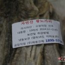 해풍건해 네이버블로그