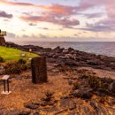 코리아코나 이미지