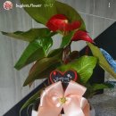 둔내파출소 이미지