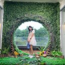 누룩꽃피는날아중점 | ☔️전주 술집 아중점 누룩꽃피는날 메뉴/고구마 막걸리🍠전주 칼국수맛집 베테랑/한옥마을카페 마시랑게...