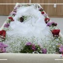 시티병원장례식장