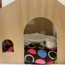 종달구경 이미지